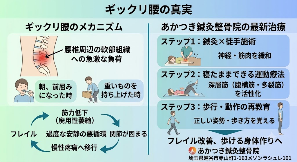 「ギックリ腰（急性腰痛）を繰り返していませんか？安静は逆効果かもしれません。越谷市のあかつき鍼灸整骨院が、最新の運動療法による根本改善とフレイル予防アプローチを解説。もう繰り返さない、一生歩ける身体作りをサポートします。」